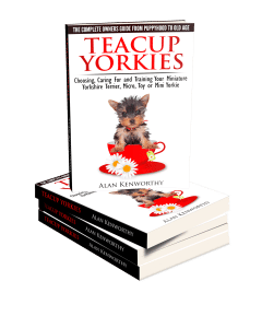 Teacup Yorkie book
